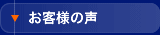 ���q�l�̐�